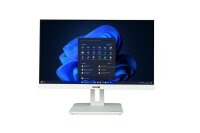 TERRA AIO 2410 wh